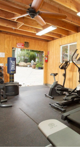 Untitled design (26)